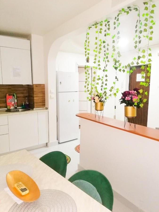 Apartament Near The Park Two Rooms Βουκουρέστι Εξωτερικό φωτογραφία