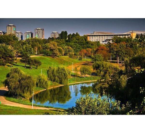 Apartament Near The Park Two Rooms Βουκουρέστι Εξωτερικό φωτογραφία